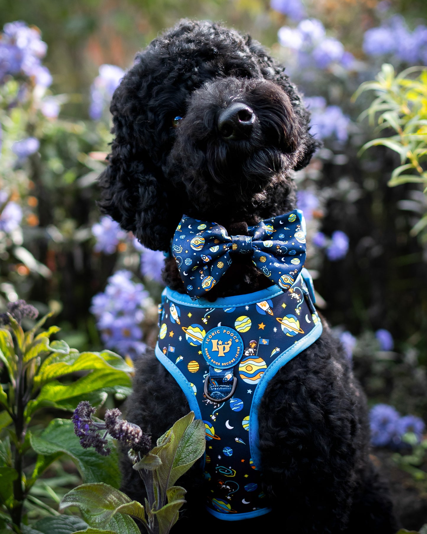 Adjustable Dog Harness - Mission: Iconic