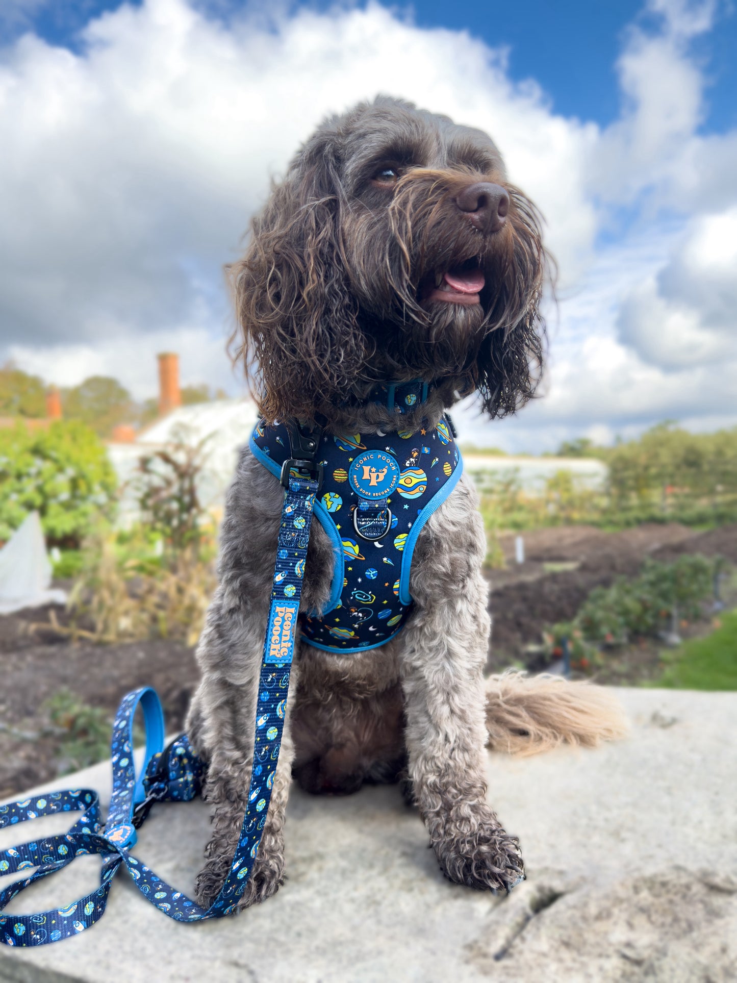 Dog Lead - Mission: Iconic