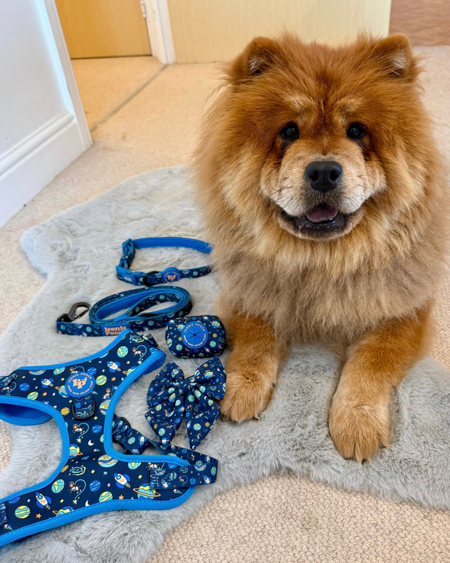 Dog Poop Bag Holder - Mission: Iconic