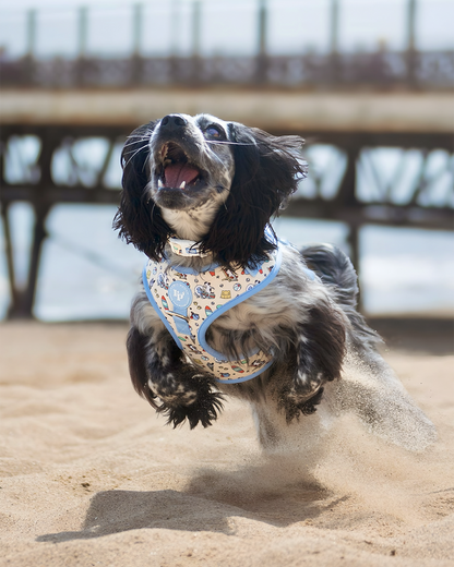 Adjustable Dog Harness - Endless Summer