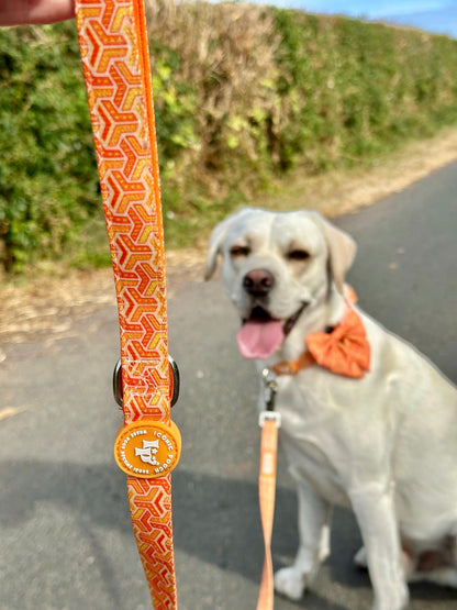 Dog Lead - Orange Passion
