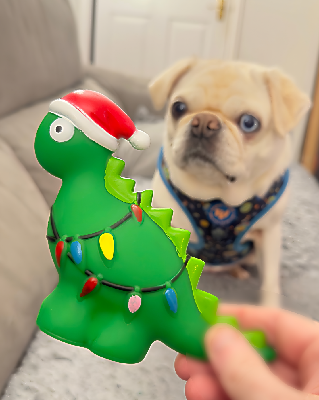 Christmas Dinosaur Dog Toy