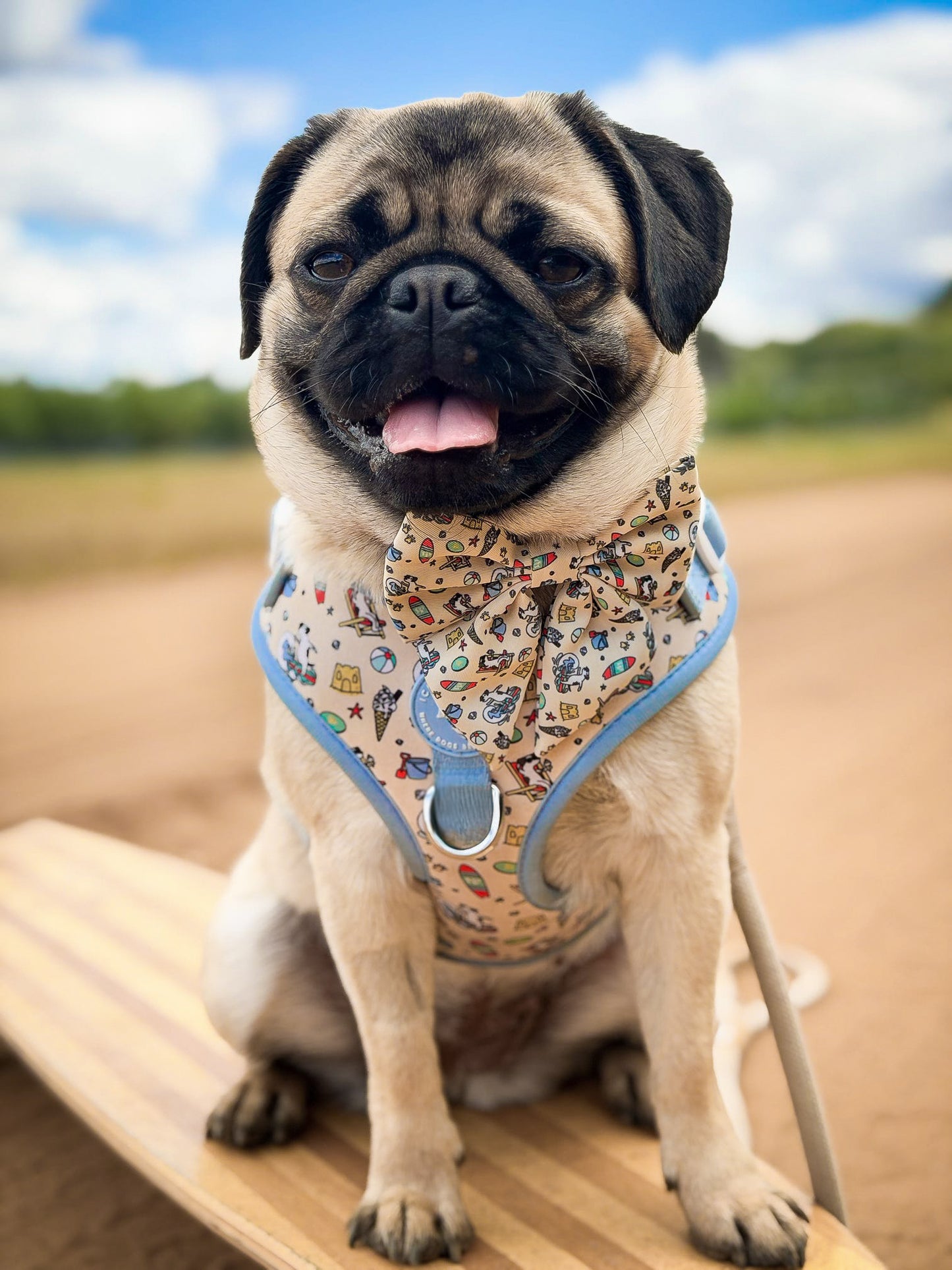 Adjustable Dog Harness - Endless Summer