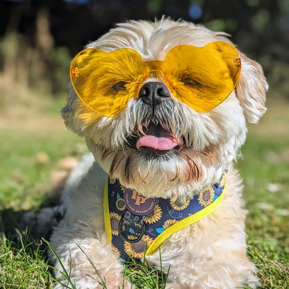 Adjustable Dog Harness - Sunflower Buzz