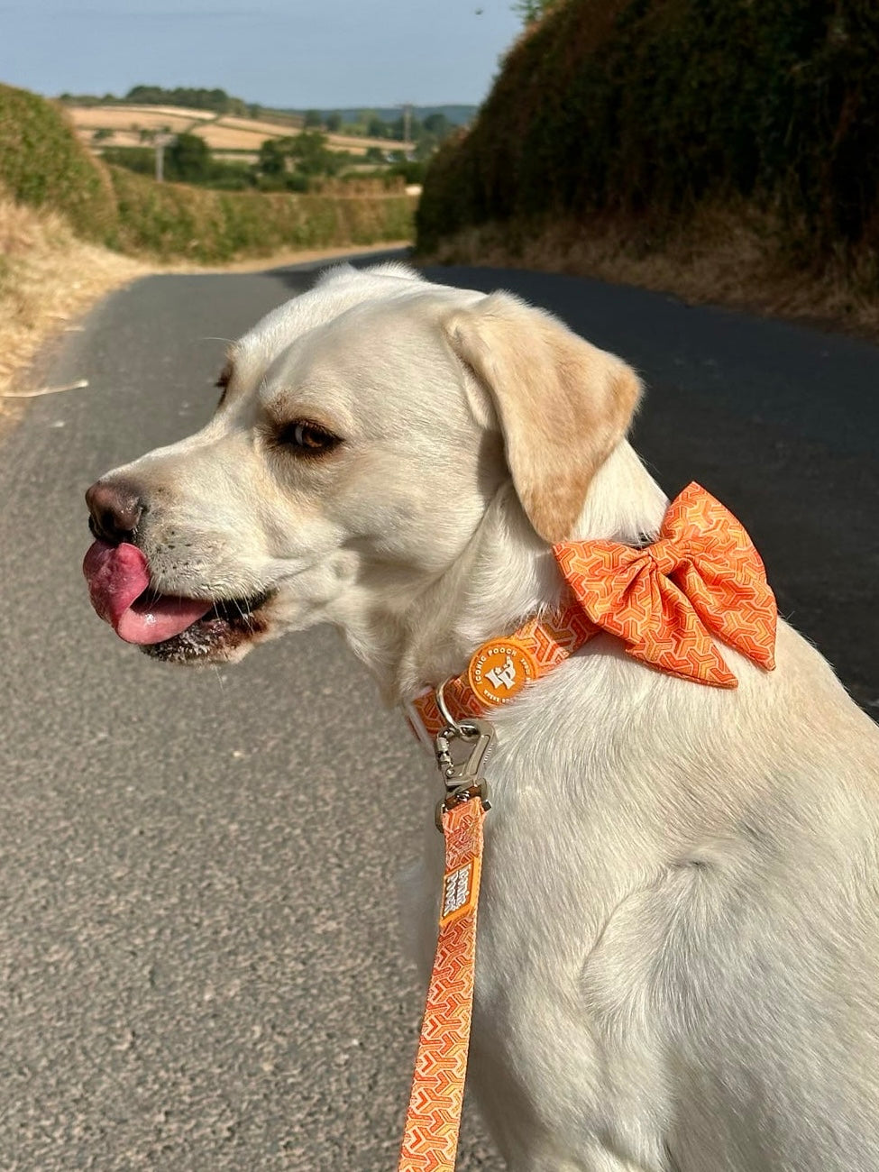 Sailor Bow Tie - Orange Passion