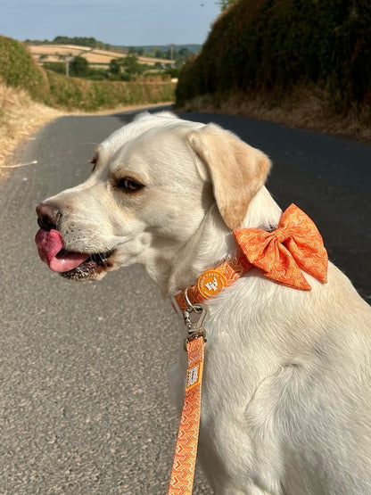Sailor Bow Tie - Orange Passion