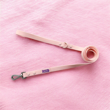 New Style - Waterproof Dog Leads