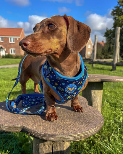 Adjustable Dog Harness - Mission: Iconic