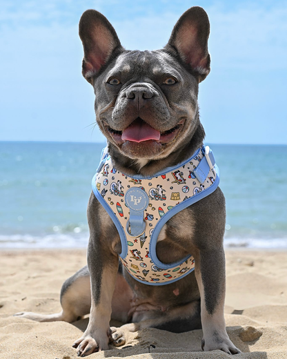 Adjustable Dog Harness - Endless Summer