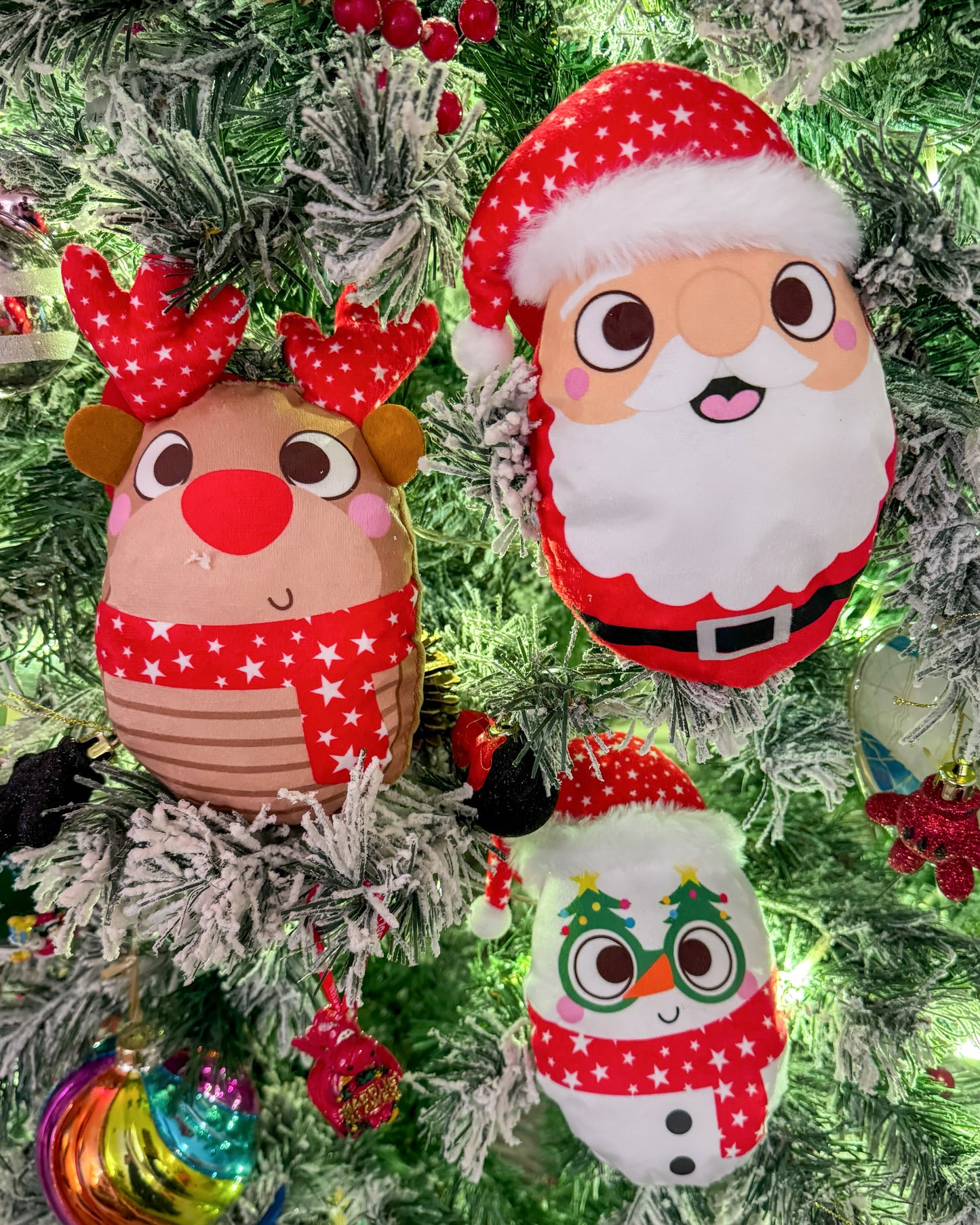 Christmas Crinkle Plush Dog Toy - Santa