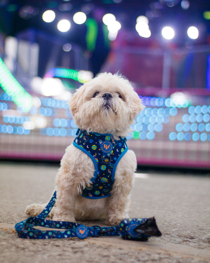 Adjustable Dog Harness - Mission: Iconic