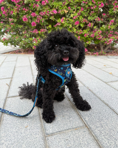 Adjustable Dog Harness - Mission: Iconic