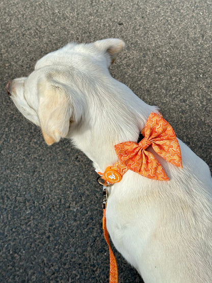 Sailor Bow Tie - Orange Passion