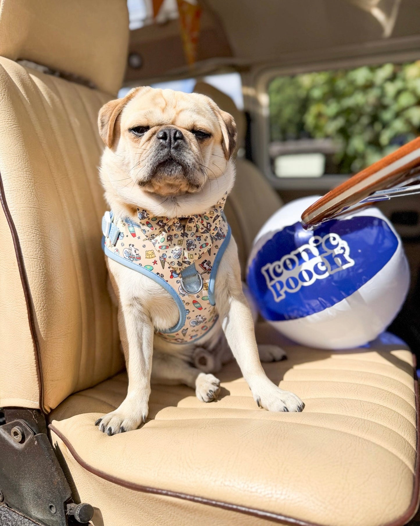 Adjustable Dog Harness - Endless Summer