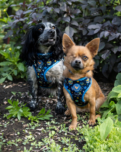 Adjustable Dog Harness - Mission: Iconic