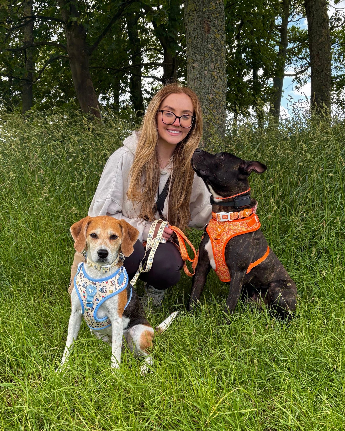 Adjustable Dog Harness - Orange Passion