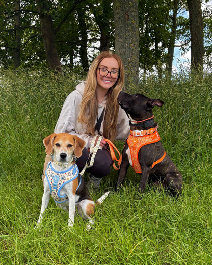 Adjustable Dog Harness - Orange Passion