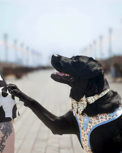 Adjustable Dog Harness - Endless Summer