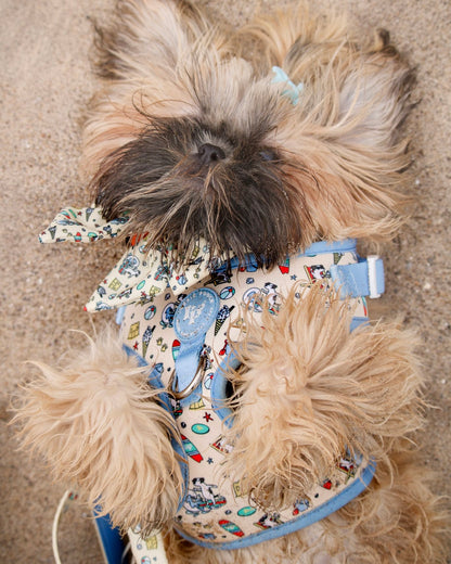 Adjustable Dog Harness - Endless Summer