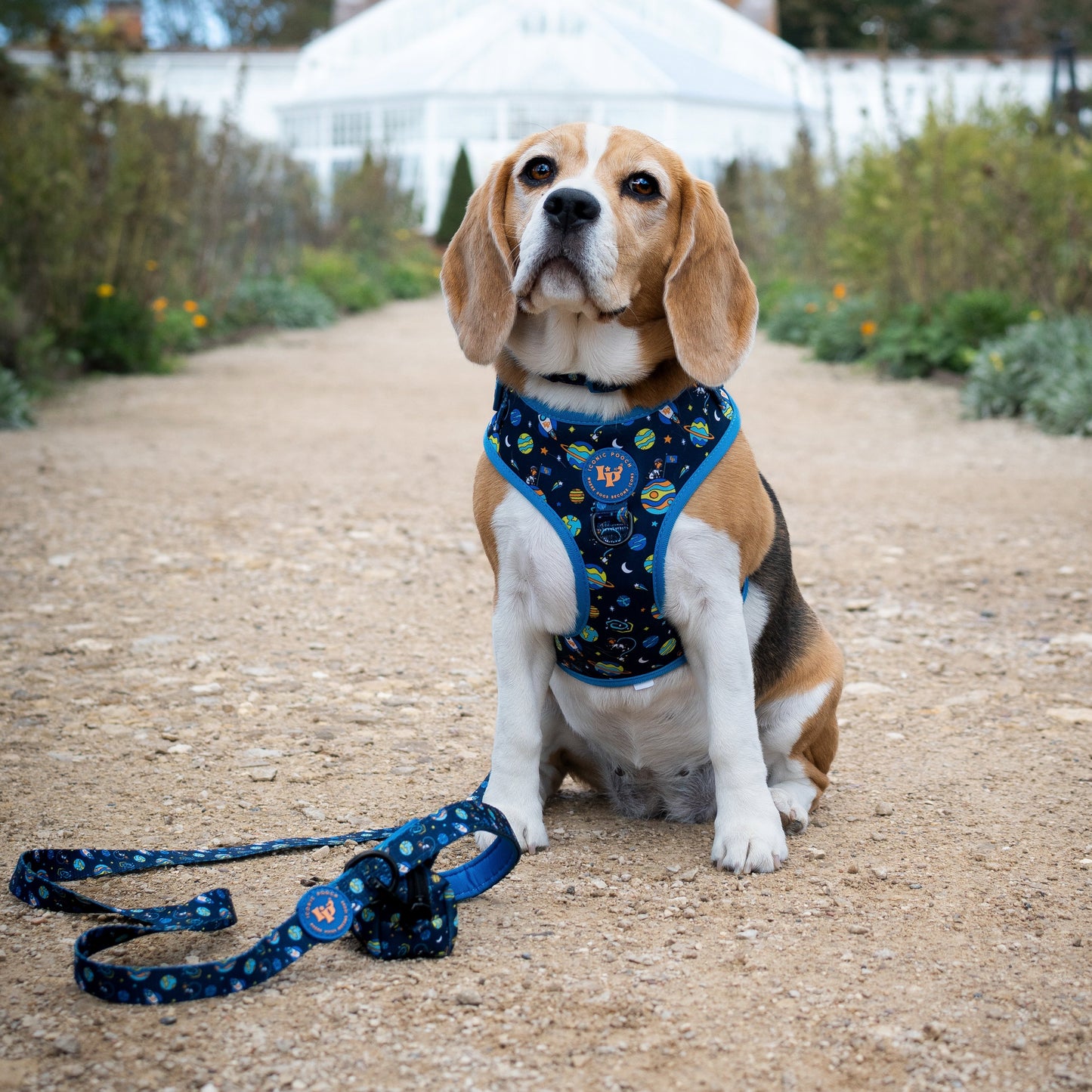 Adjustable Dog Harness - Mission: Iconic