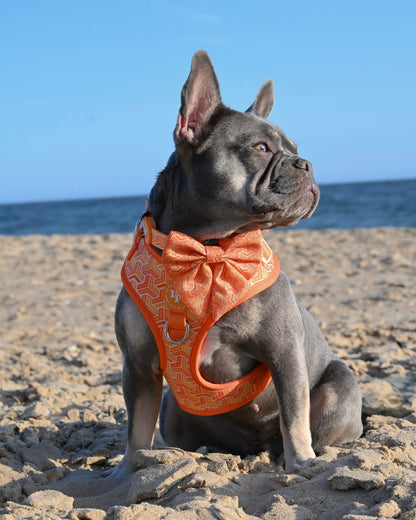 Sailor Bow Tie - Orange Passion