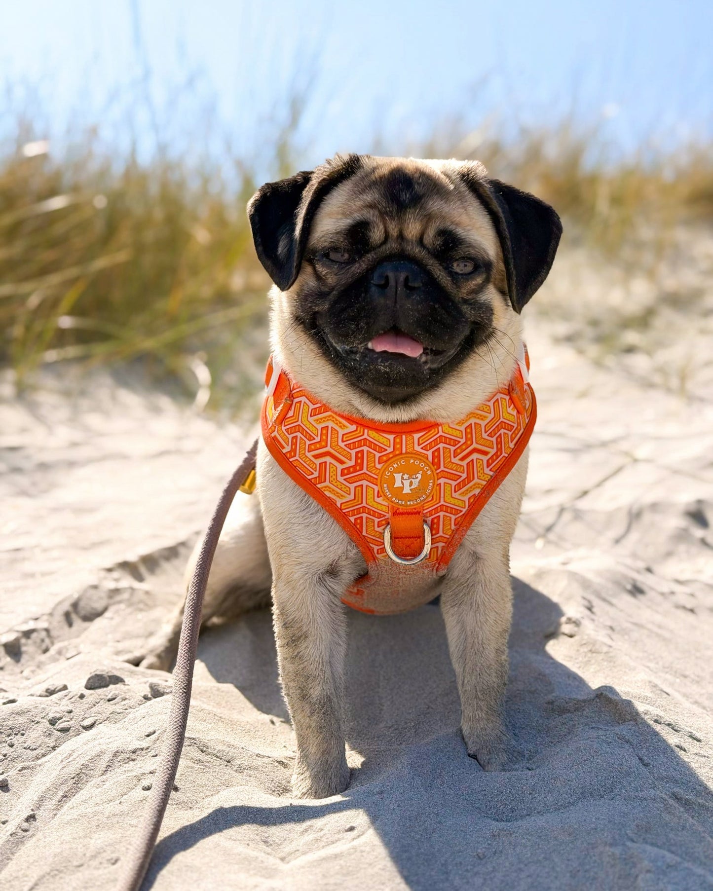 Adjustable Dog Harness - Orange Passion