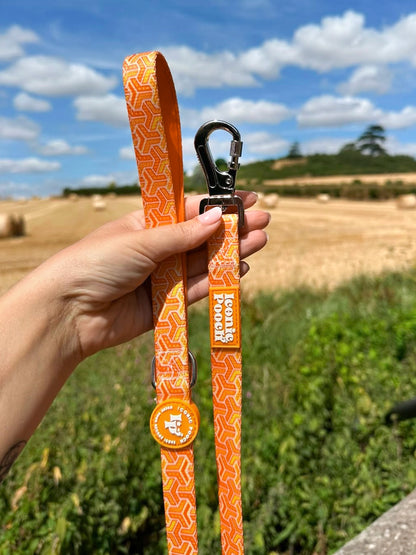 Dog Lead - Orange Passion