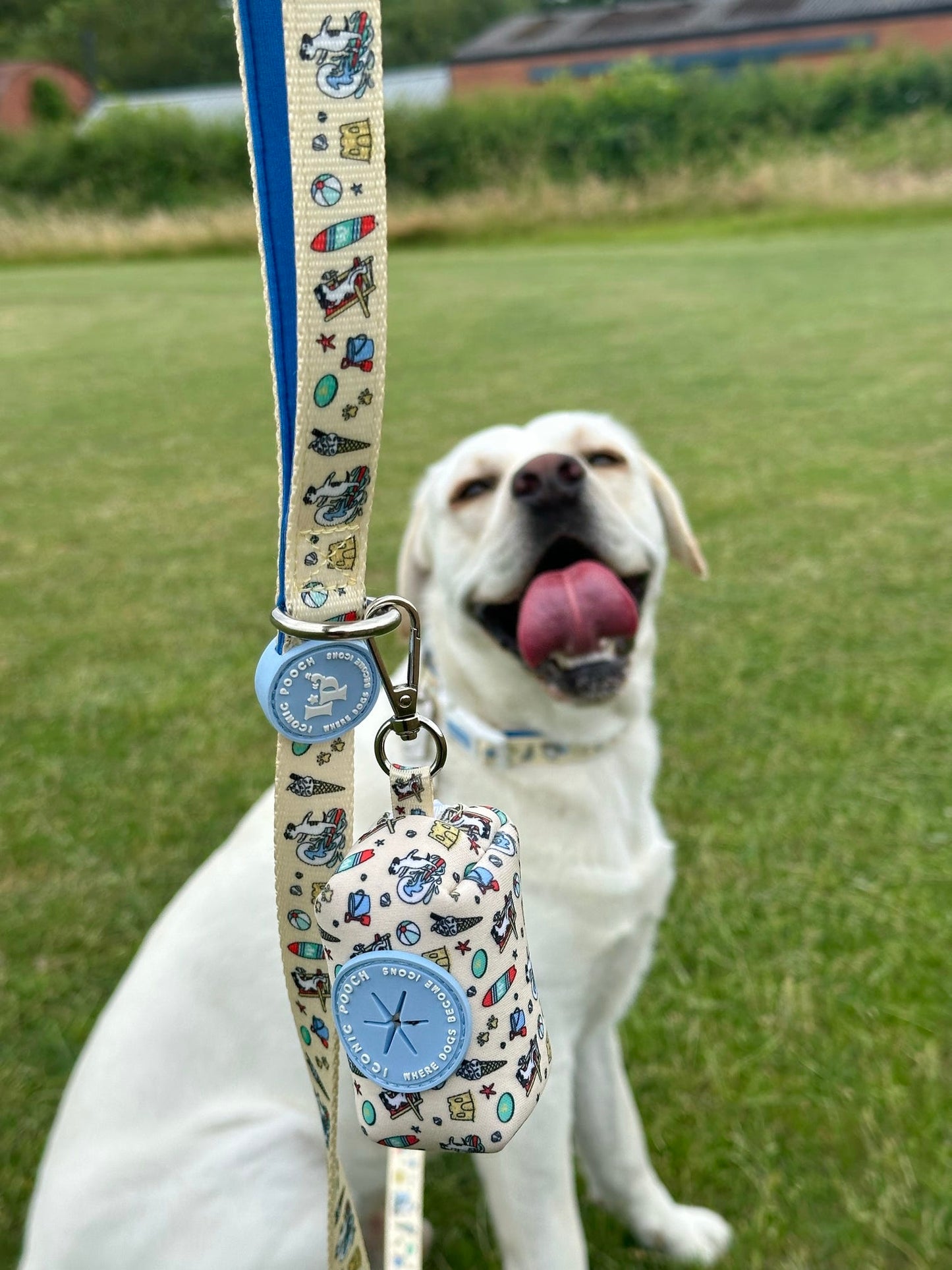 Dog Lead - Endless Summer
