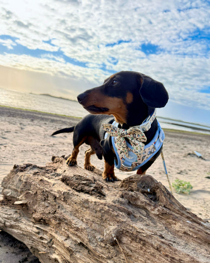 Adjustable Dog Harness - Endless Summer