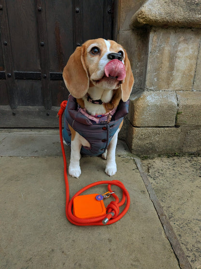 Silicone Multi-Purpose Dog Treat Pouches