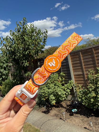 Adjustable Dog Collar - Orange Passion