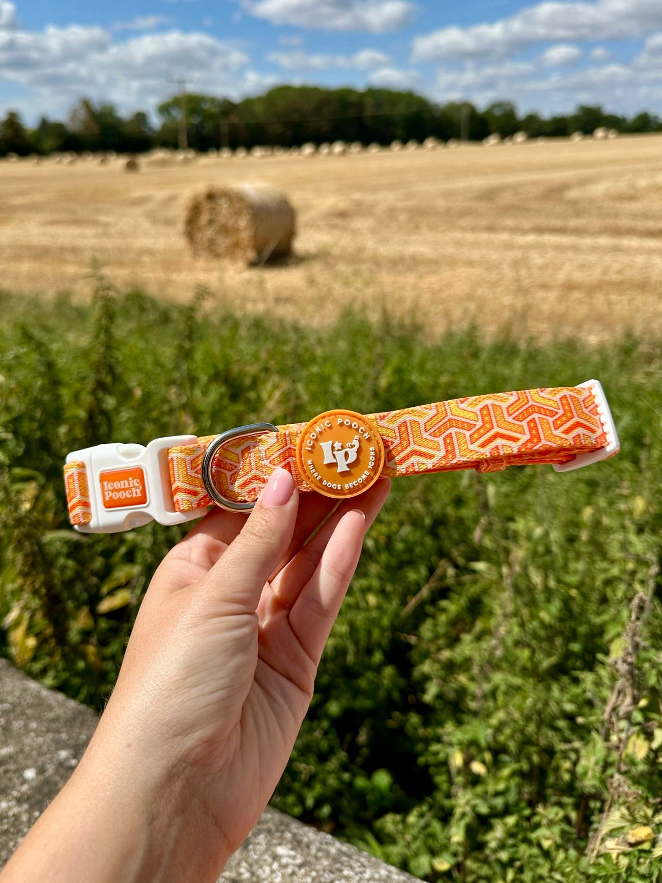 Adjustable Dog Collar - Orange Passion