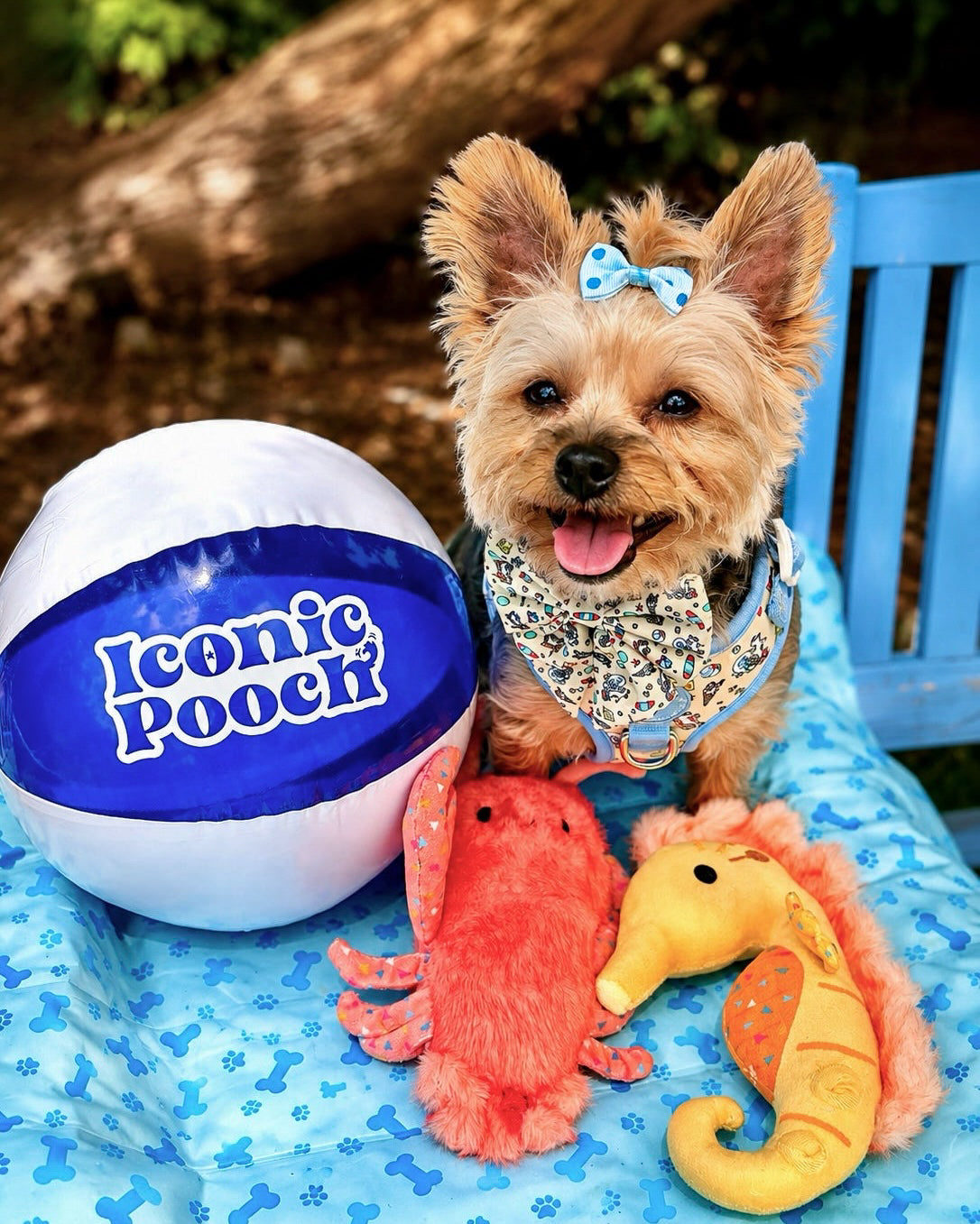Adjustable Dog Harness - Endless Summer
