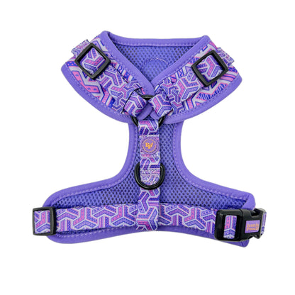 Adjustable Dog Harness - Purple Passion