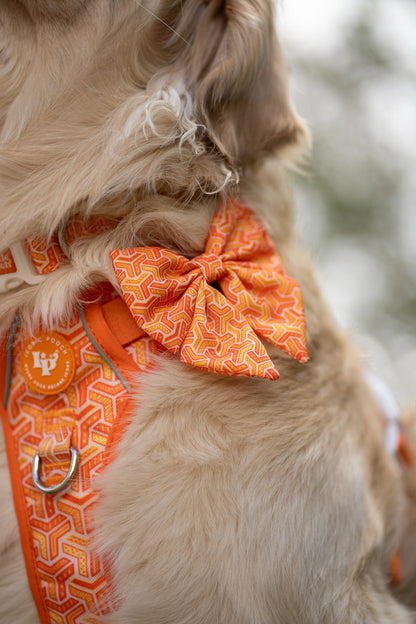 Sailor Bow Tie - Orange Passion
