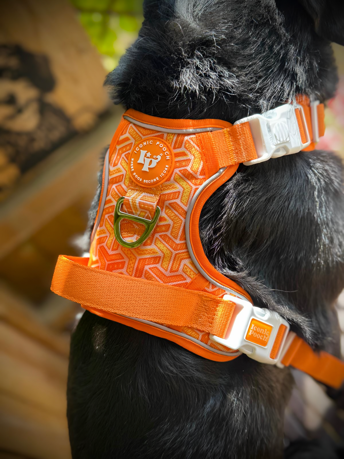 3 Click Adventure Dog Harness - Orange Passion