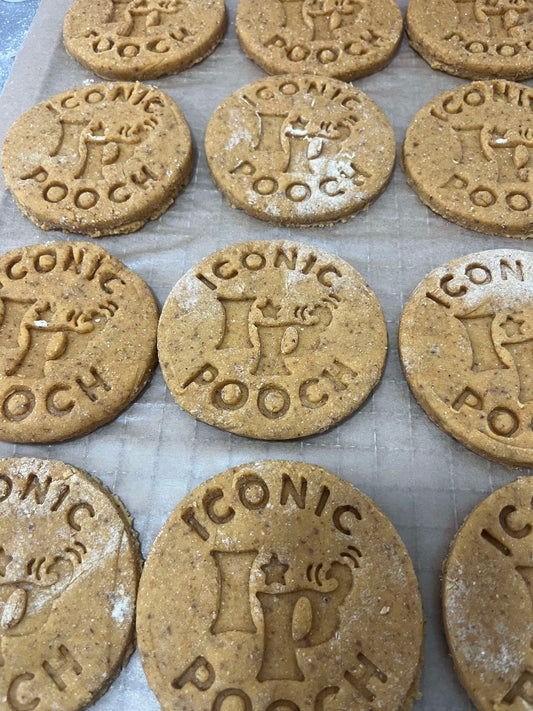 Iconic Pooch Biscuit