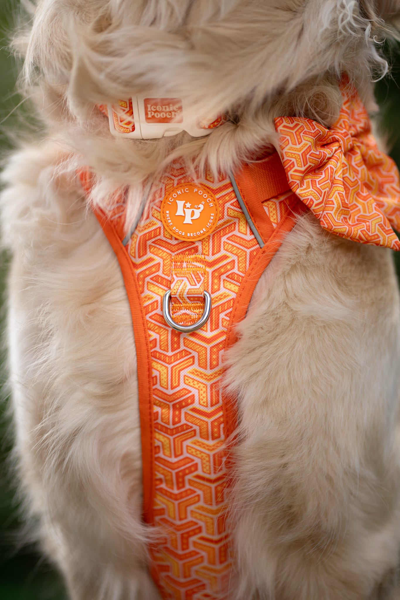 Sailor Bow Tie - Orange Passion