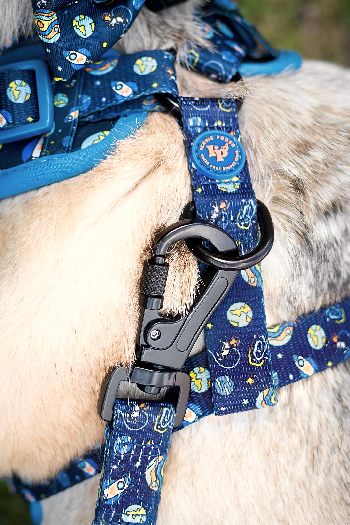 Dog Lead - Mission: Iconic