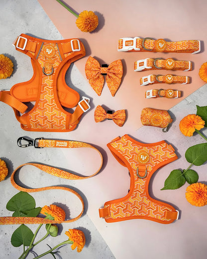 Dog Poop Bag Holder - Orange Passion