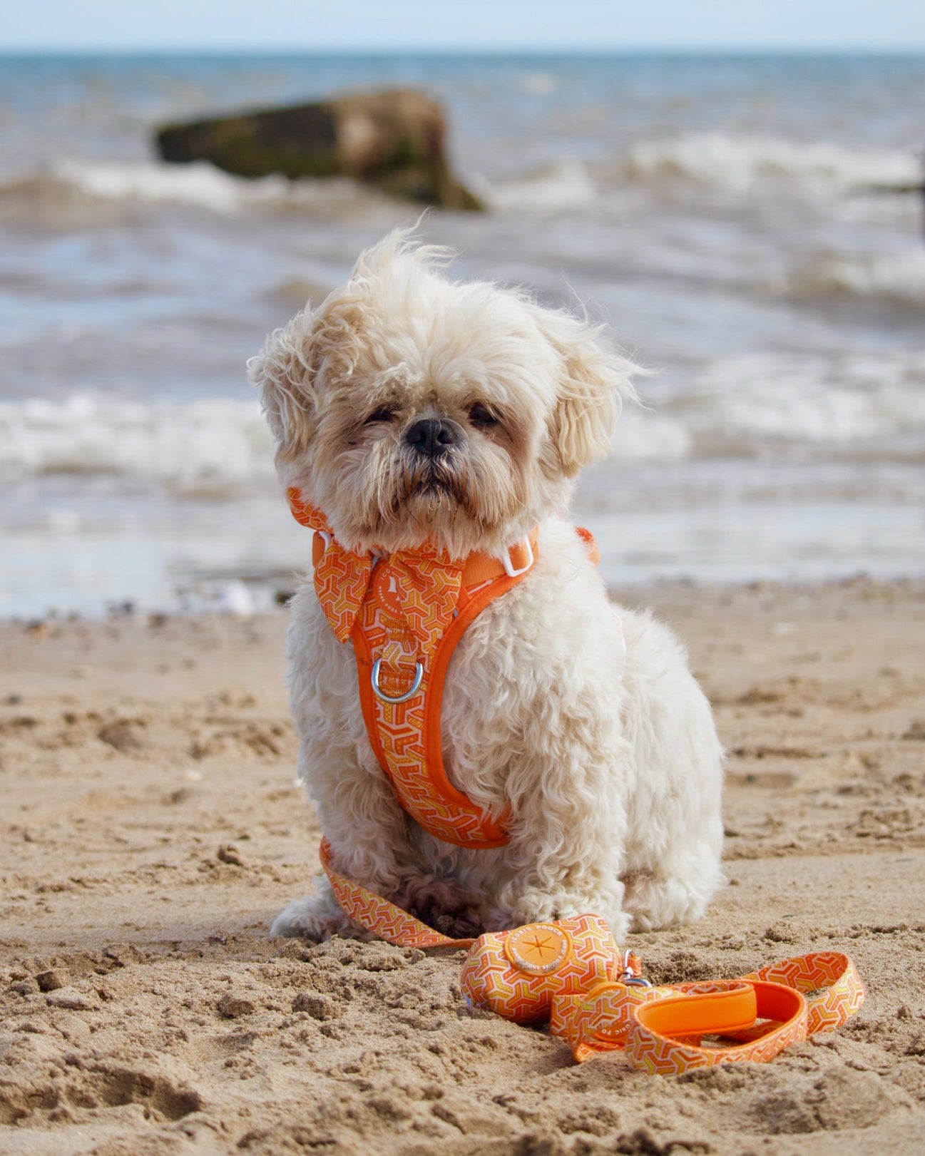 3 Click Adventure Dog Harness - Orange Passion