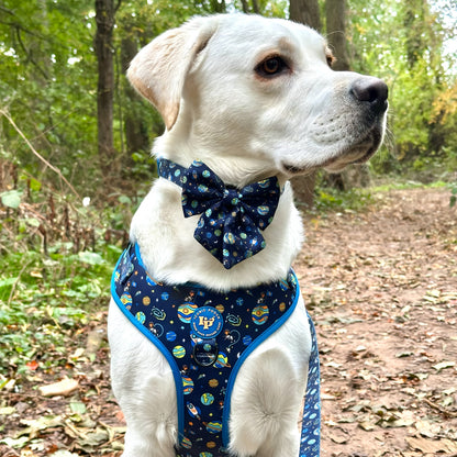 Adjustable Dog Harness - Mission: Iconic