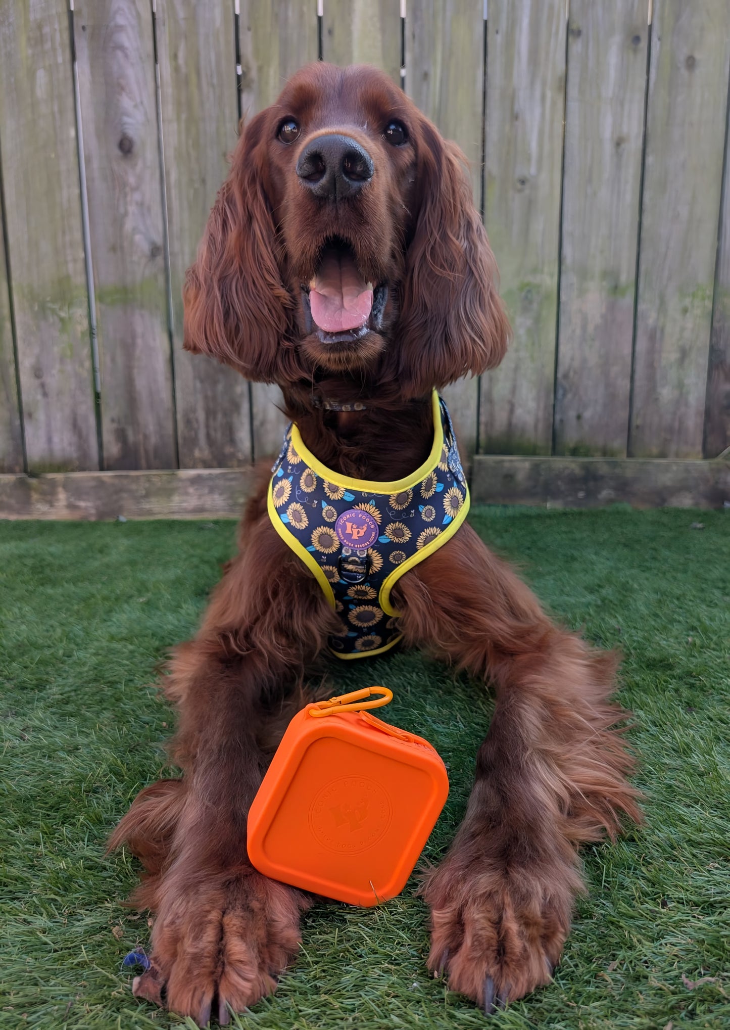 Silicone Multi-Purpose Dog Treat Pouches