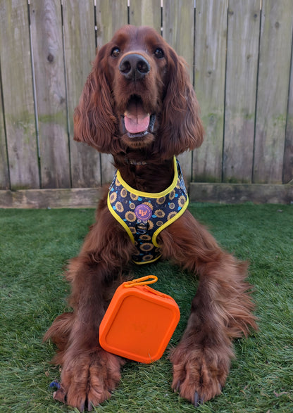 Silicone Multi-Purpose Dog Treat Pouches