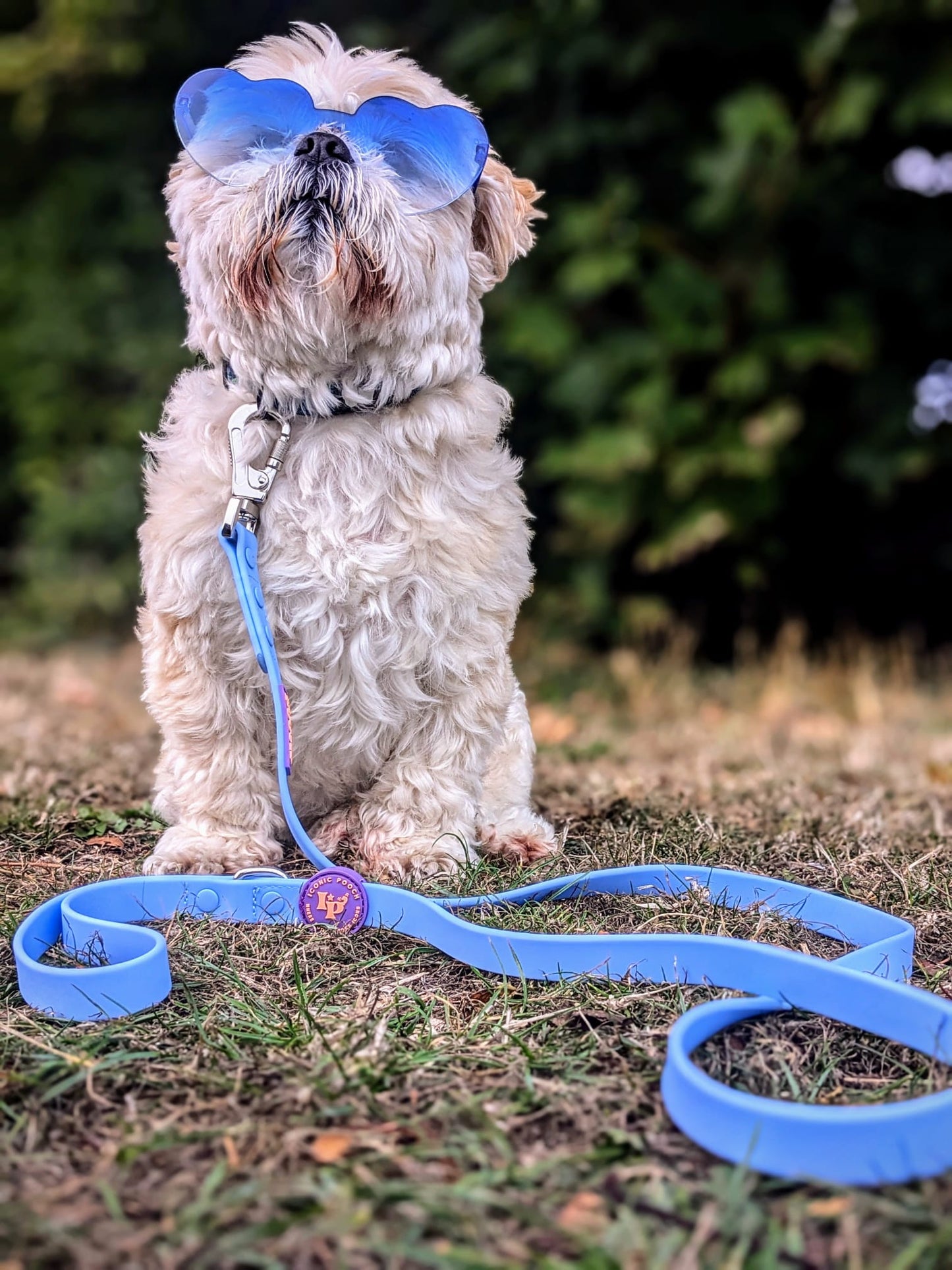 Waterproof Dog Lead