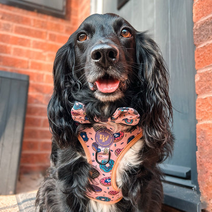 Dog Bow Tie - Doughnuts Delight