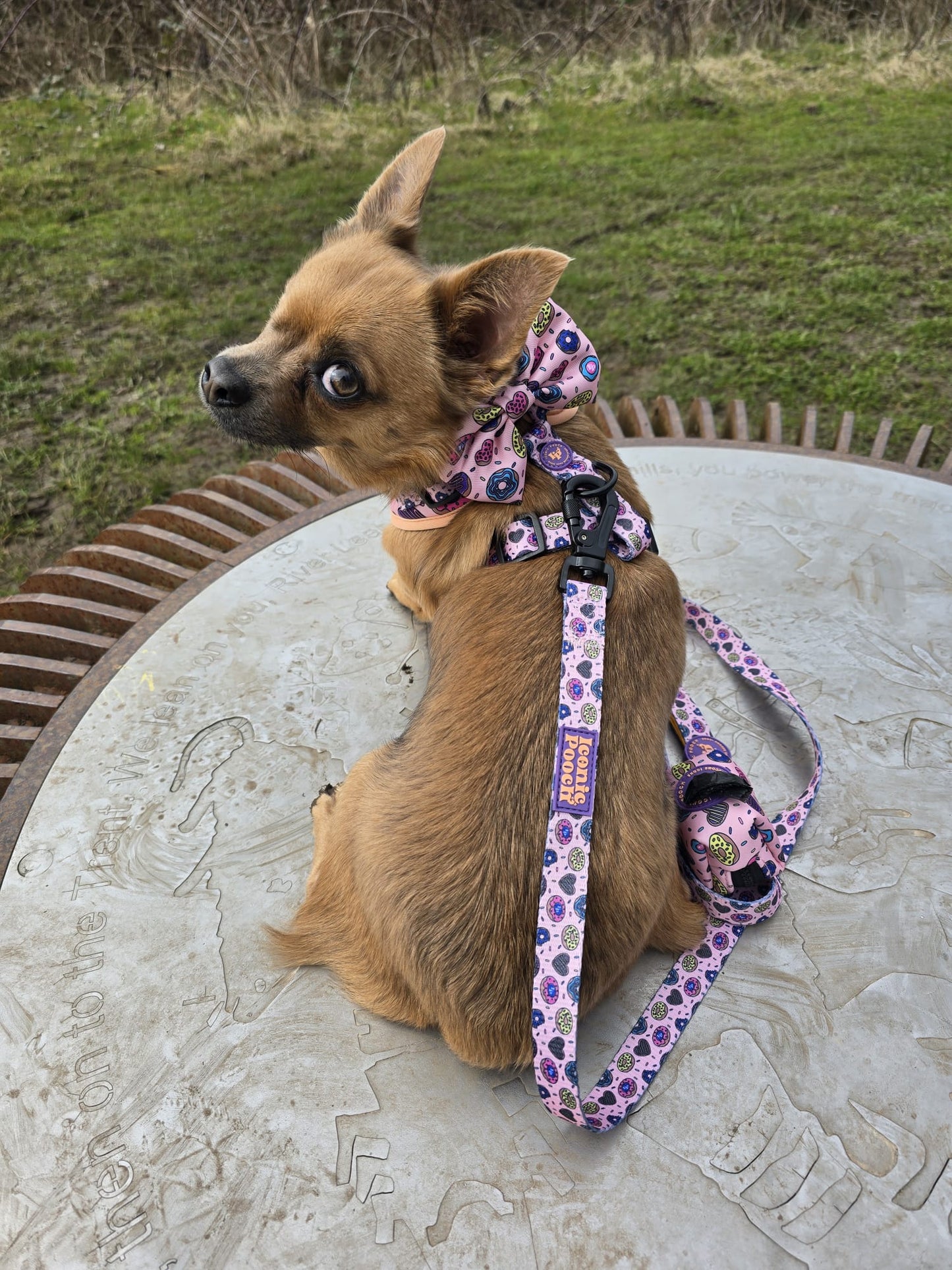 Dog Bow Tie - Doughnuts Delight