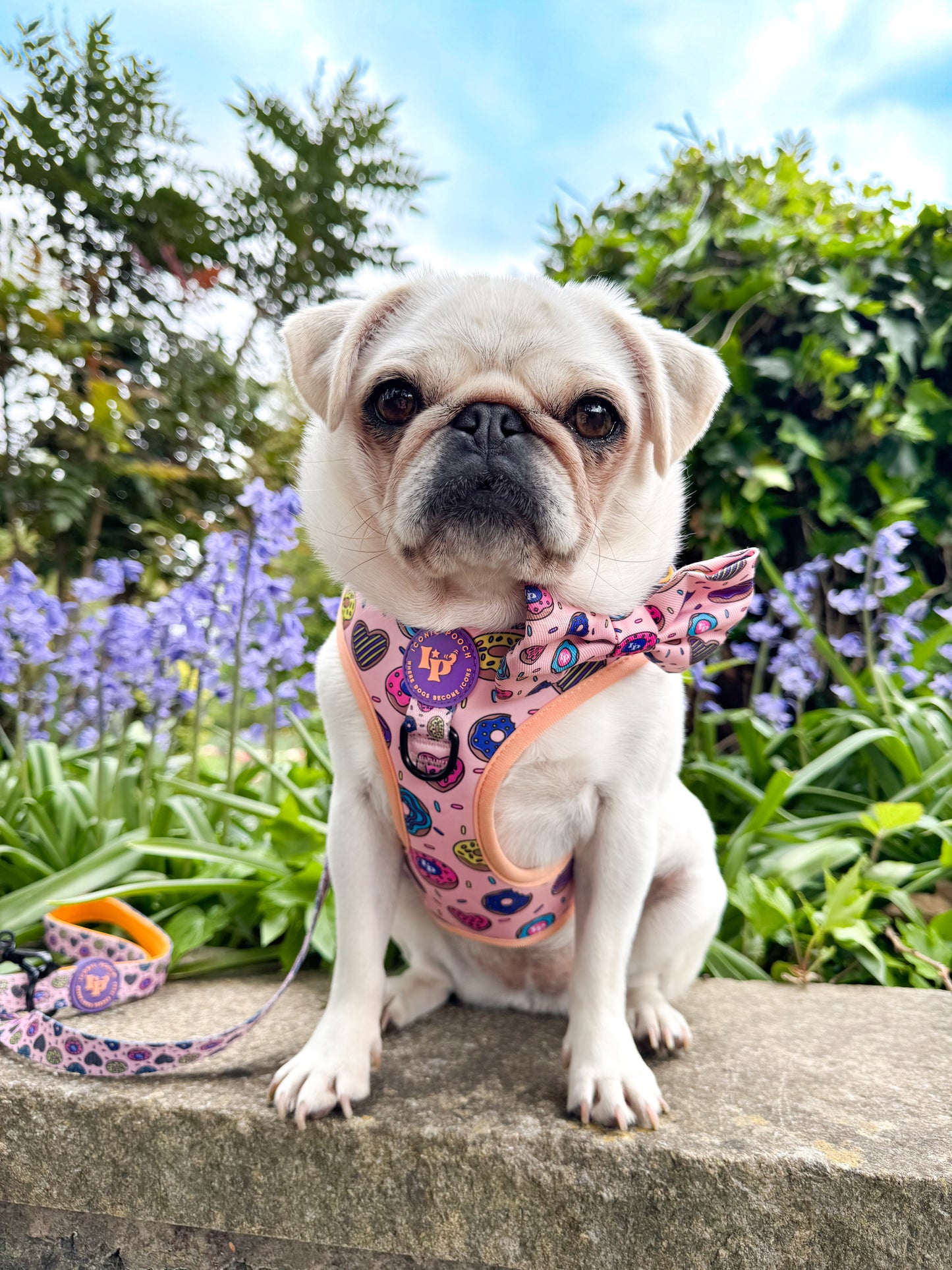 Adjustable Dog Harness - Doughnuts Delight