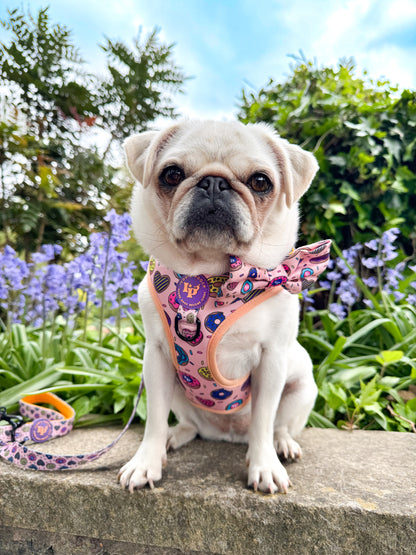 Adjustable Dog Harness - Doughnuts Delight