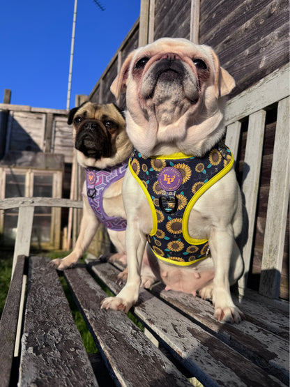 Adjustable Dog Harness - Sunflower Buzz